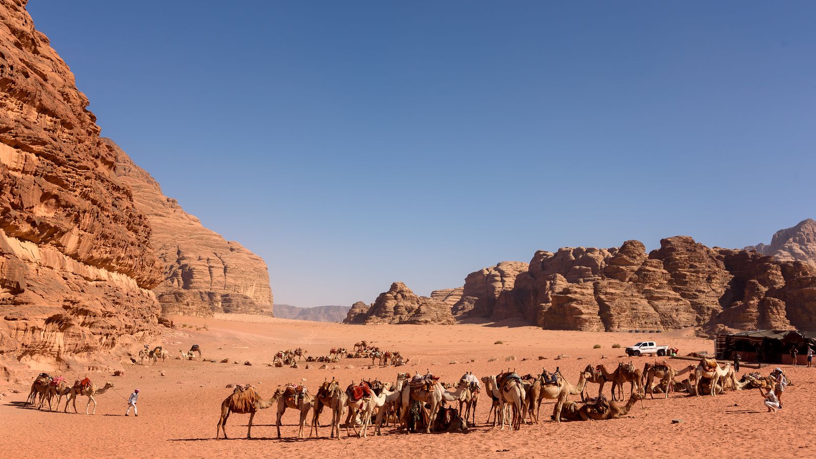 Camellos en el desierto de Wadi Rum