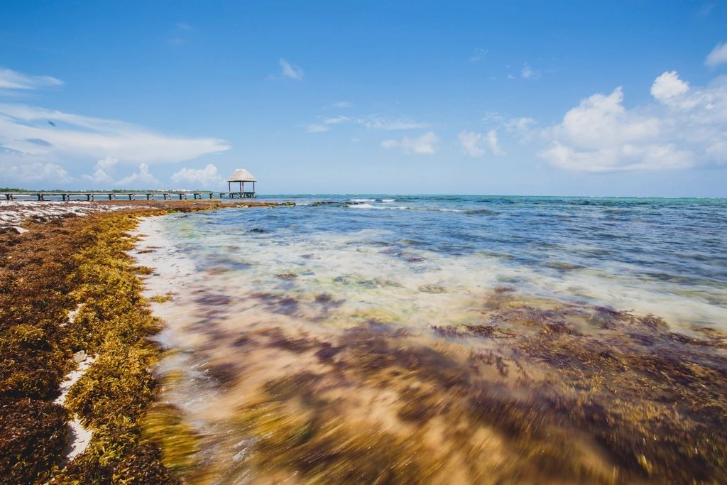 Playa de aguas turquesas en la Riviera Maya